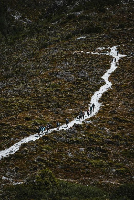 a group of people walking along a grassy path