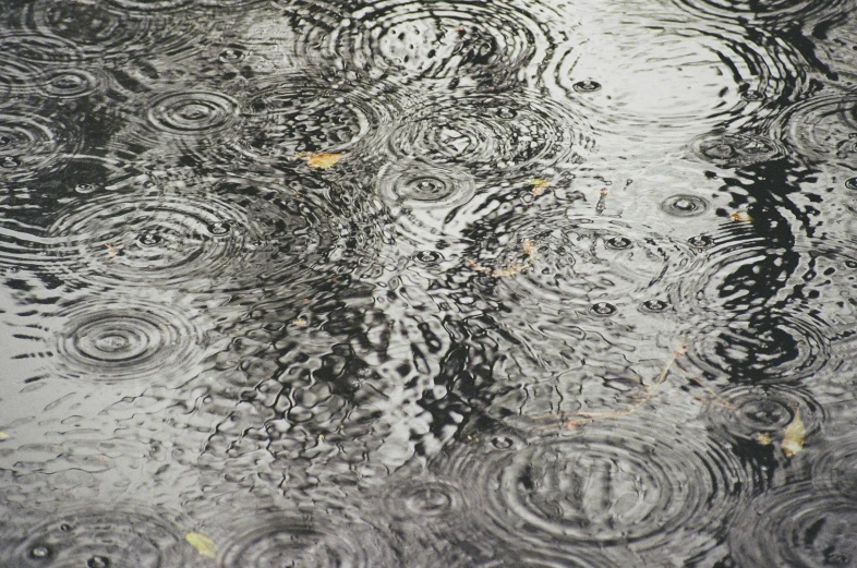 several umbrellas in the rain next to each other