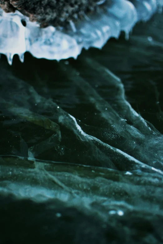 a water dle next to the edge of rocks