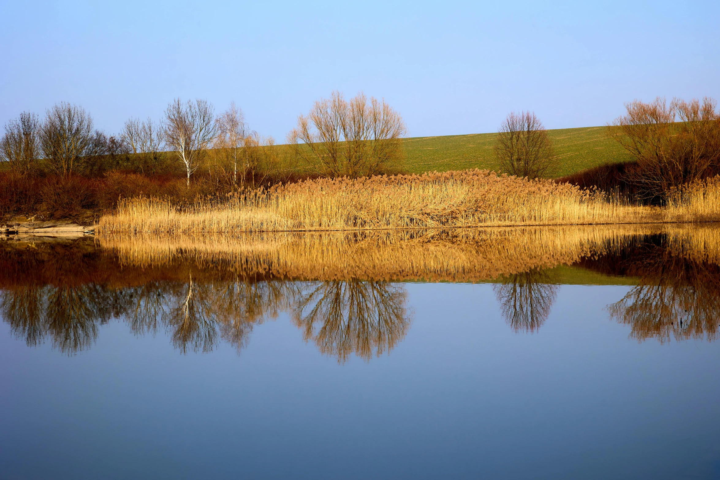 a scenic picture of a body of water