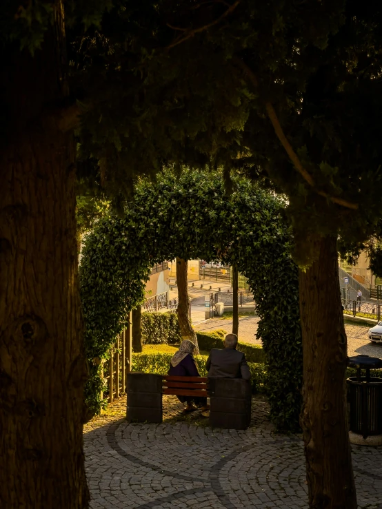 man reading at the end of a park bench in the shade