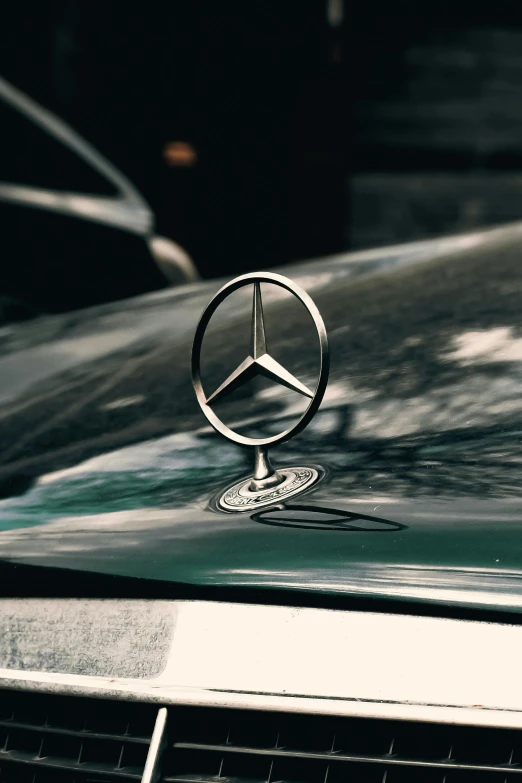 an emblem on the front end of a mercedes vehicle