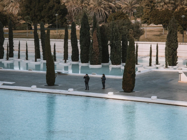 a couple standing next to each other by trees