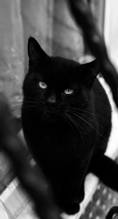 a black cat sitting on top of a bed next to a wall