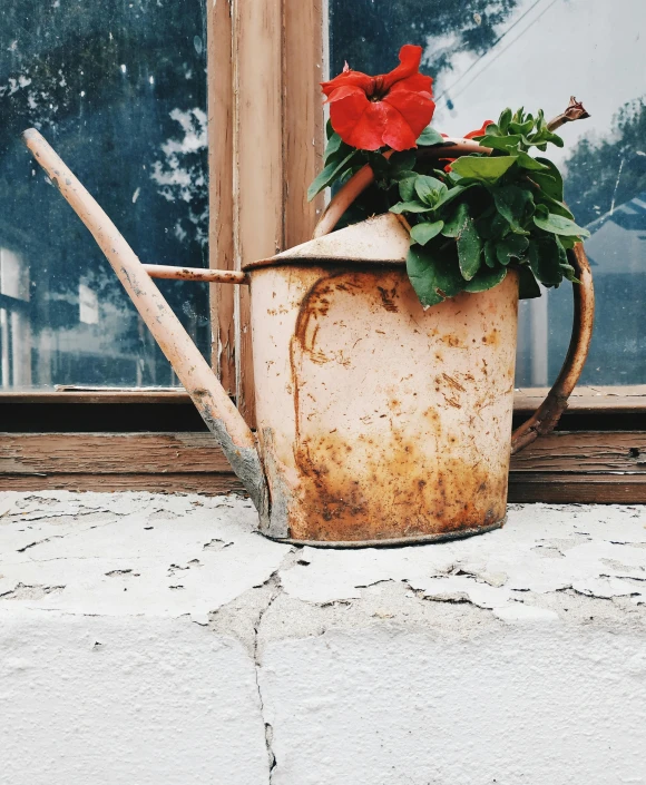 a dirty, broken watering can with flowers and a garden fork