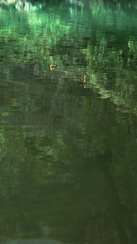 a bird is flying over the water near land