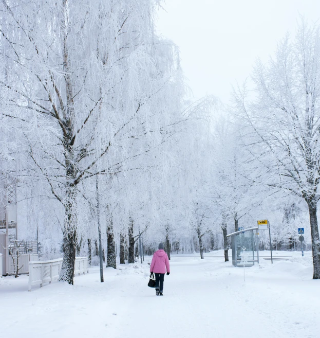 a woman in a pink coat walks across a snowy landscape