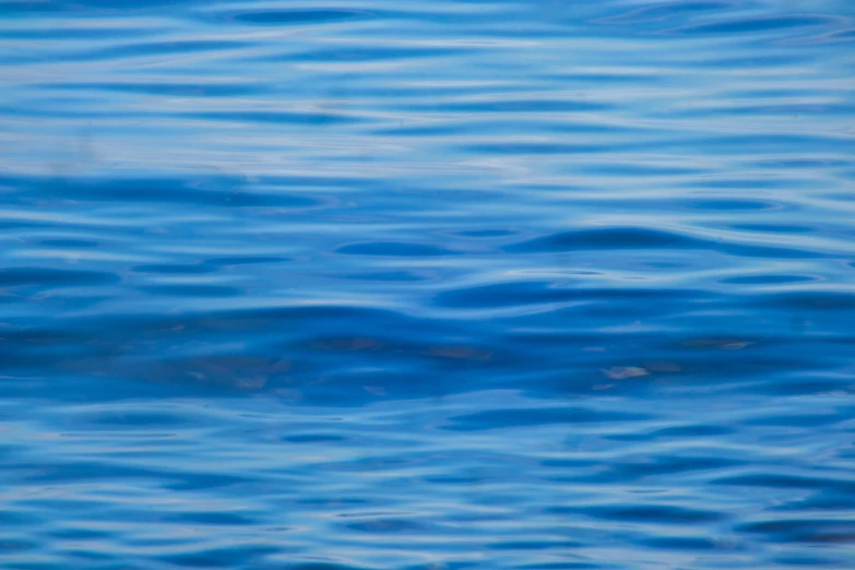 water is very blue and has some small waves