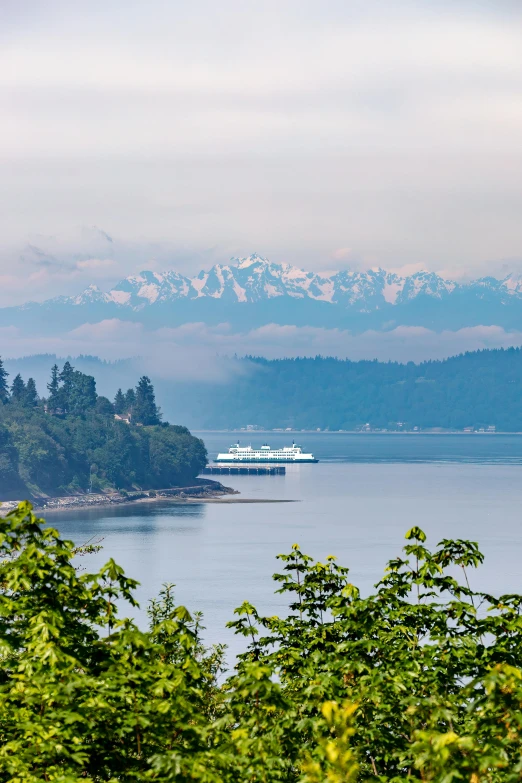 a cruise ship in the water near a lush green island