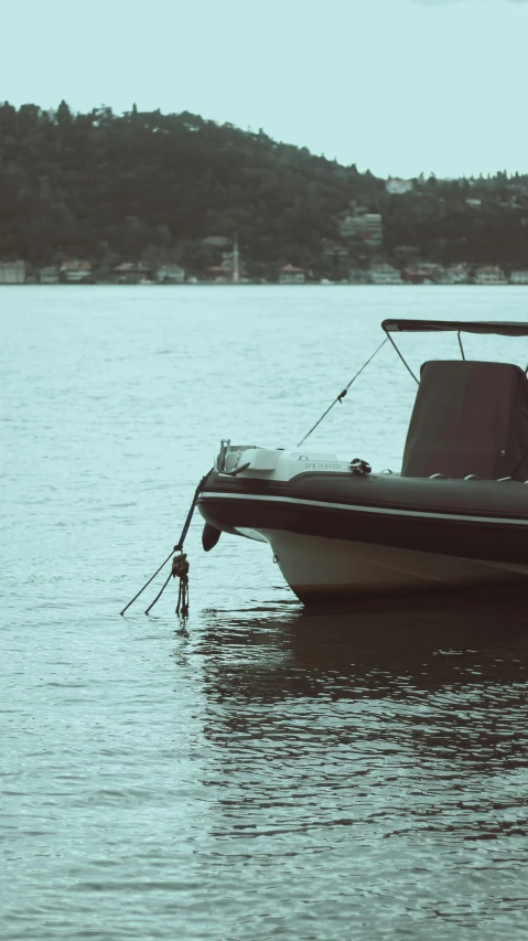 boat tied up in a lake next to a wooded area