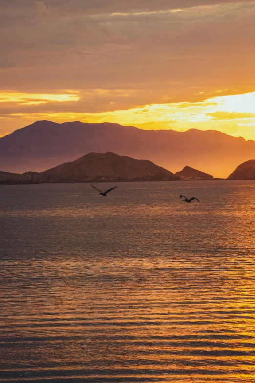 two birds flying over the water at sunset