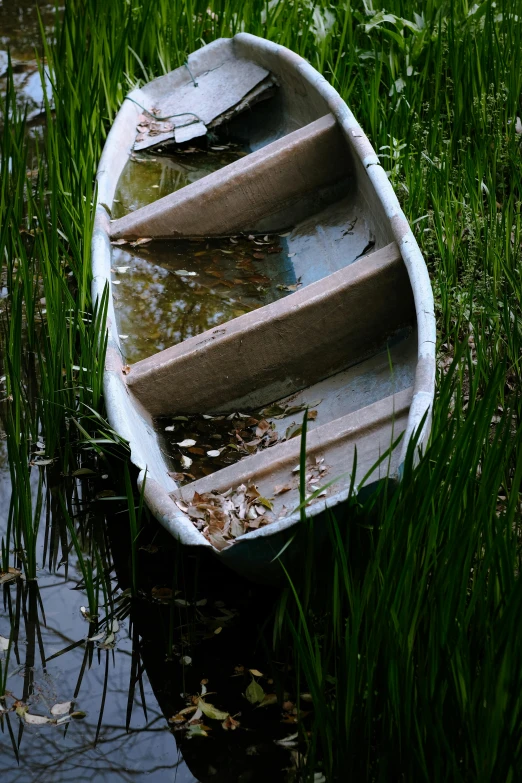 a small boat rests in the shallow water on some grass