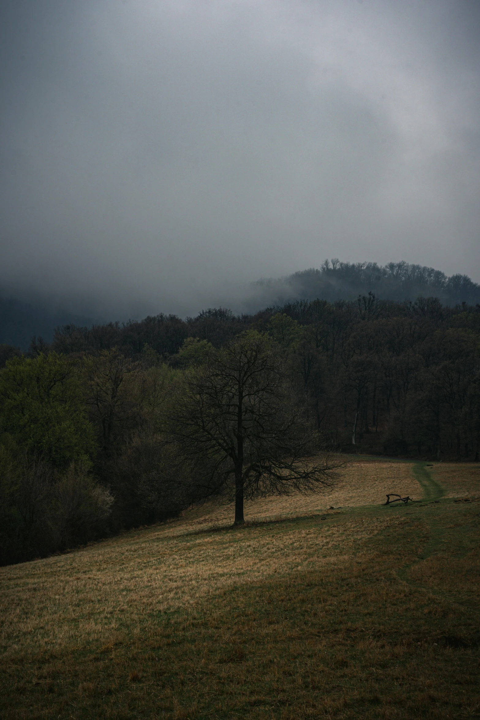 an empty bench on a grassy hill, with a view of mountains in the distance