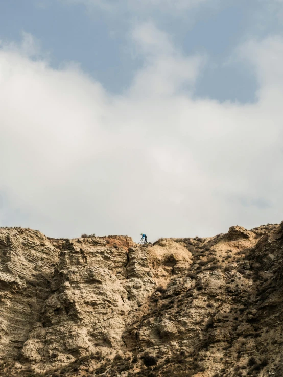 two birds are sitting on top of a mountain