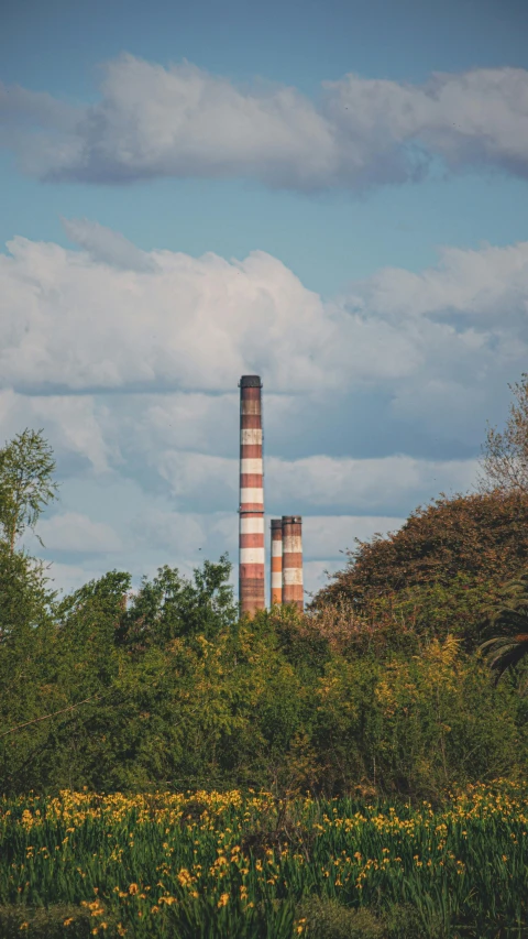 a large factory plant sitting near some trees