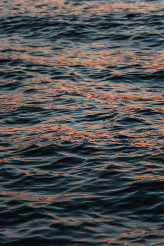 a bird is perched on the top of a water way