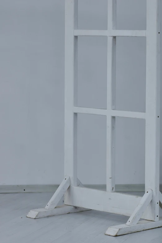 a cat sitting in a frame with white background