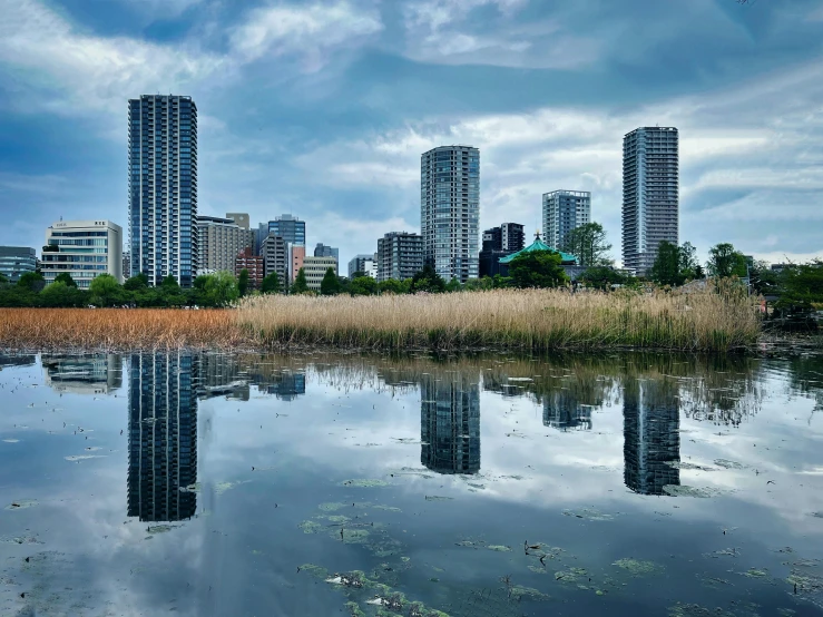 a body of water surrounded by buildings and trees