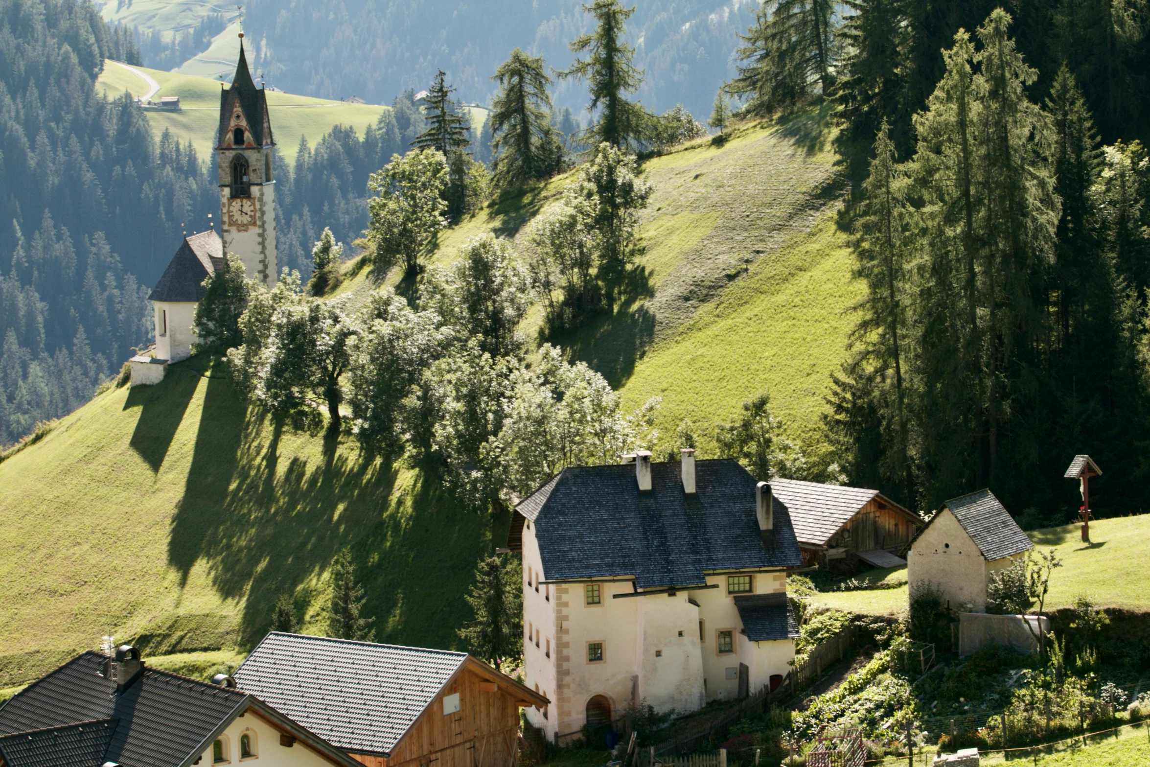 the small village of a rural country near trees