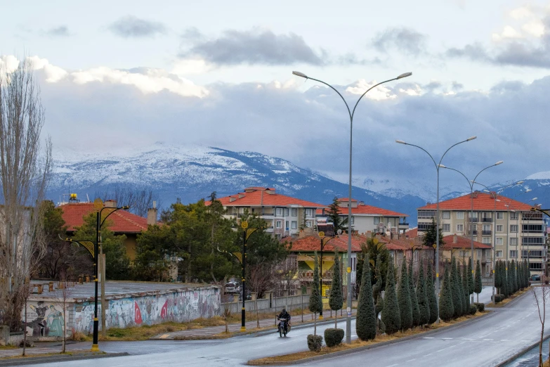 city with red roofs on street and trees in the foreground