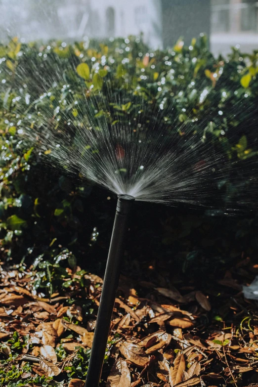 a water spout coming from the ground into a field