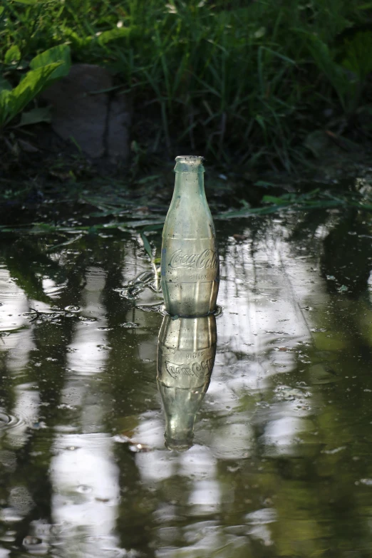 there is a bottle sitting on the ground in the water