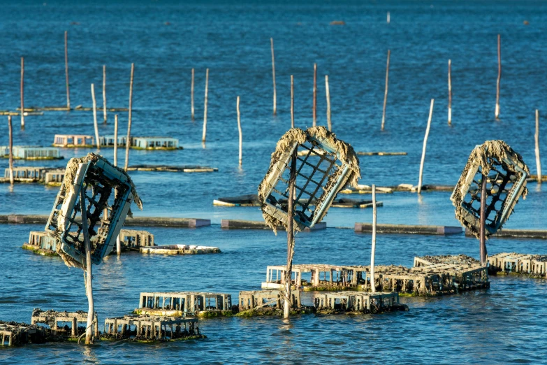 a small pier full of broken down boats in the water