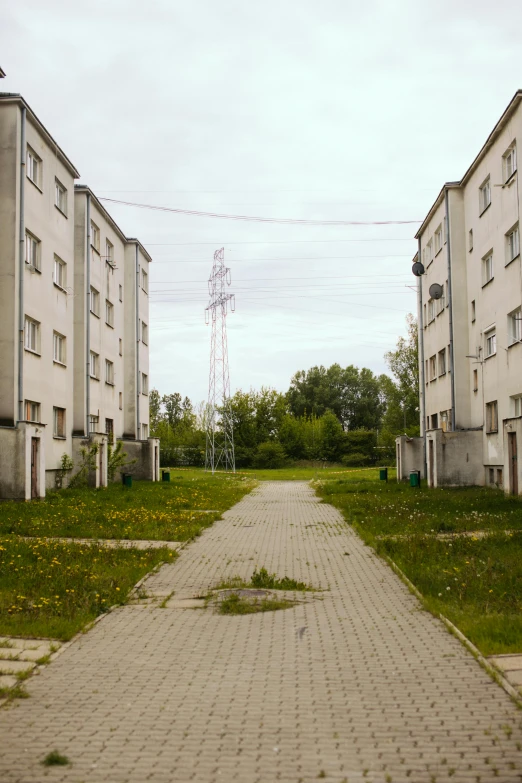 the road has two side walls between them and some grass