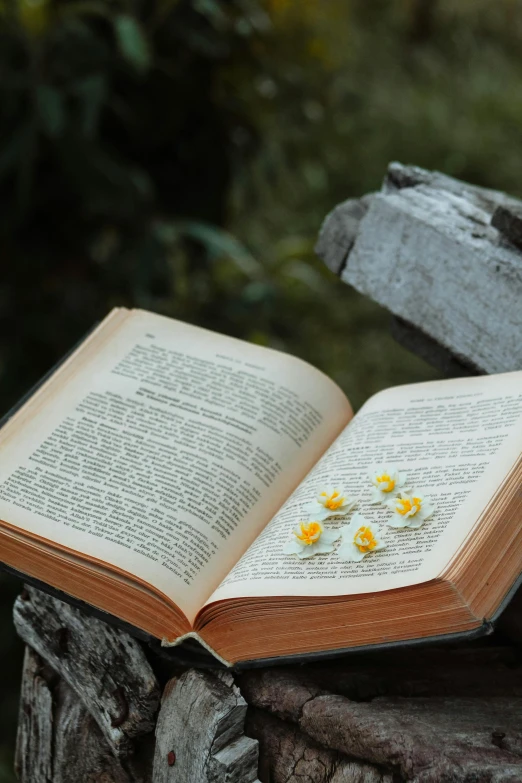 a close up of an open book with flowers