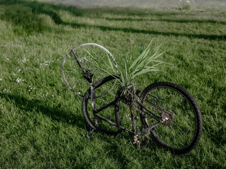 a bike in the grass with two tires attached