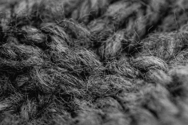 a close up view of some black hair on a rug