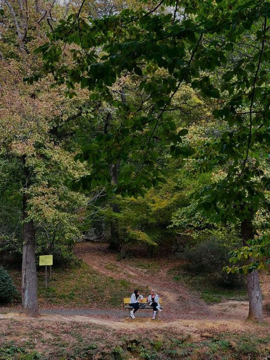 two people riding bicycles on a path in the woods