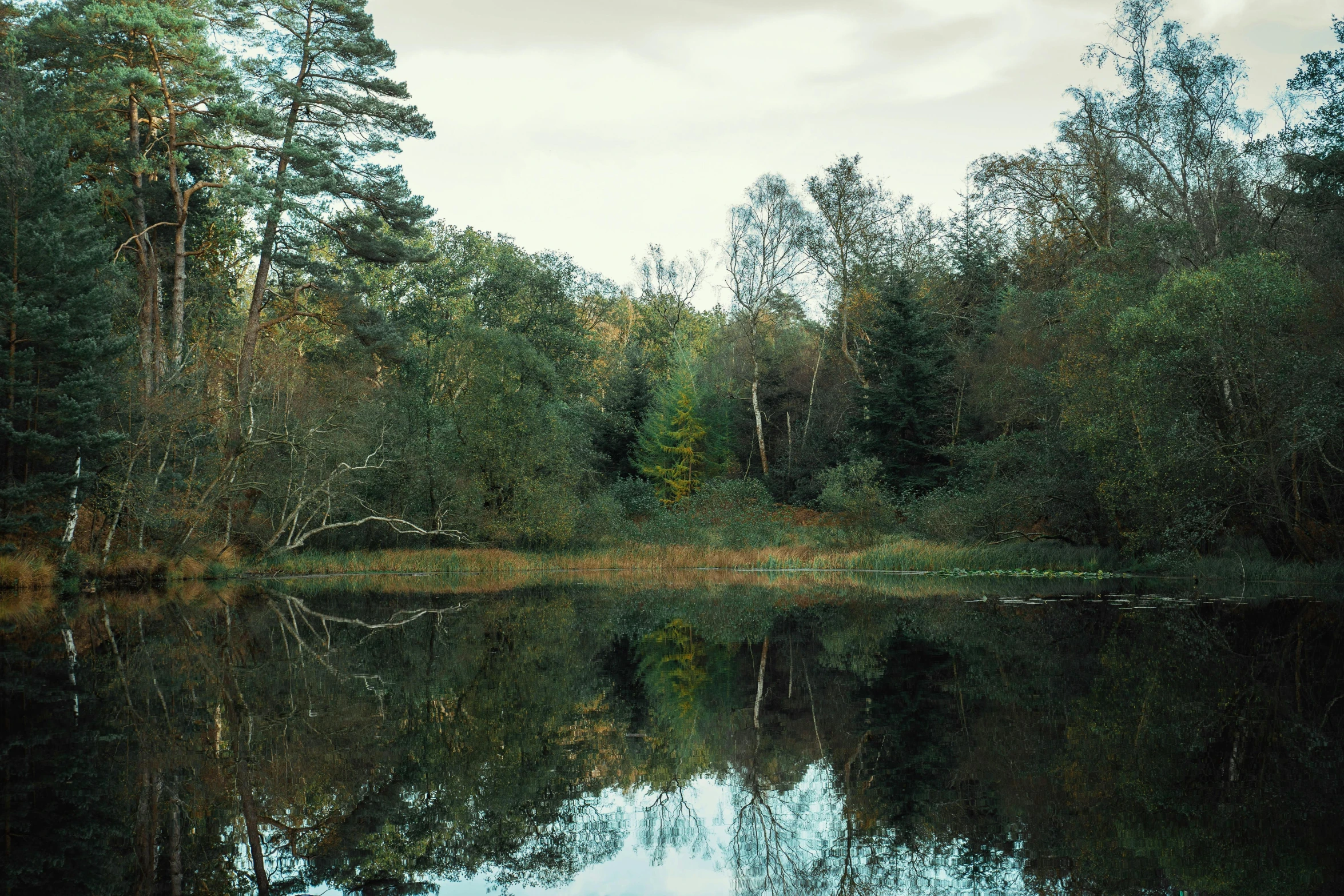 there is water that appears to be a lake