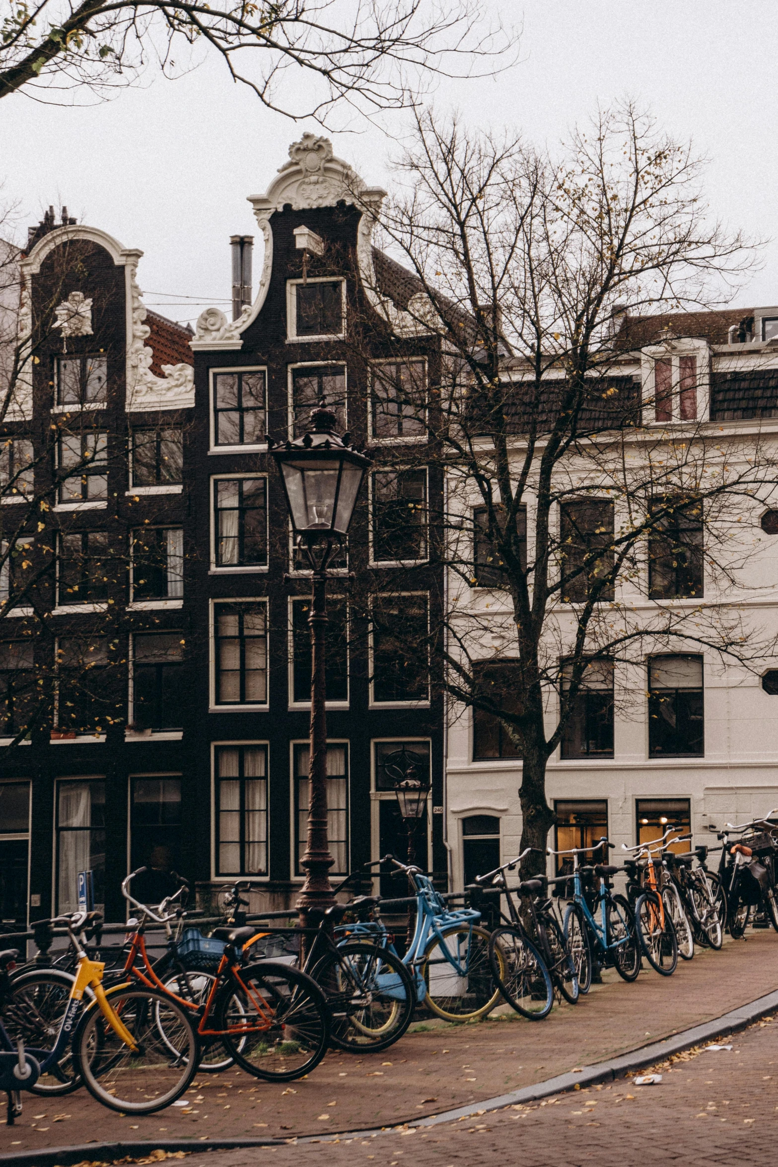 a row of parked bicycles sitting on the side of a street