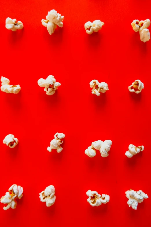 a variety of microwave popcorns laid out on a red surface