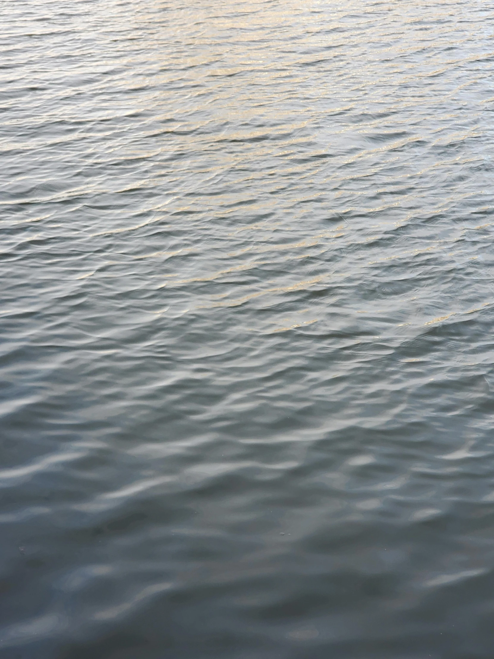 a person on a surfboard riding in the water