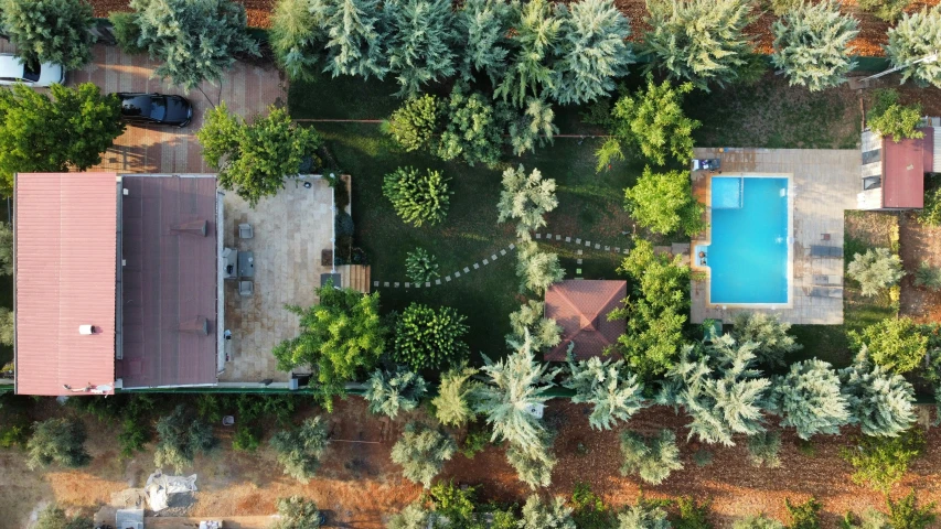 aerial view of homes with large swimming pool and trees