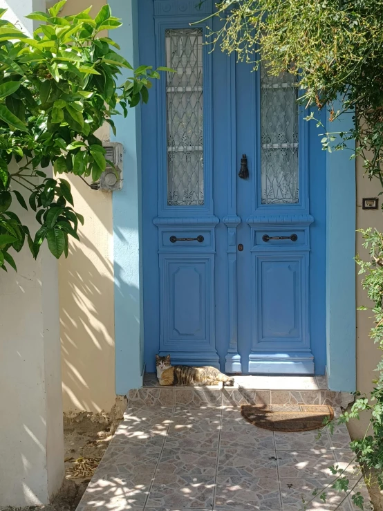 an elegant blue door surrounded by green tree's