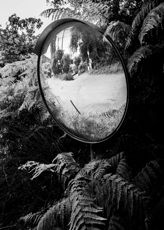 a mirror that is reflecting a landscape