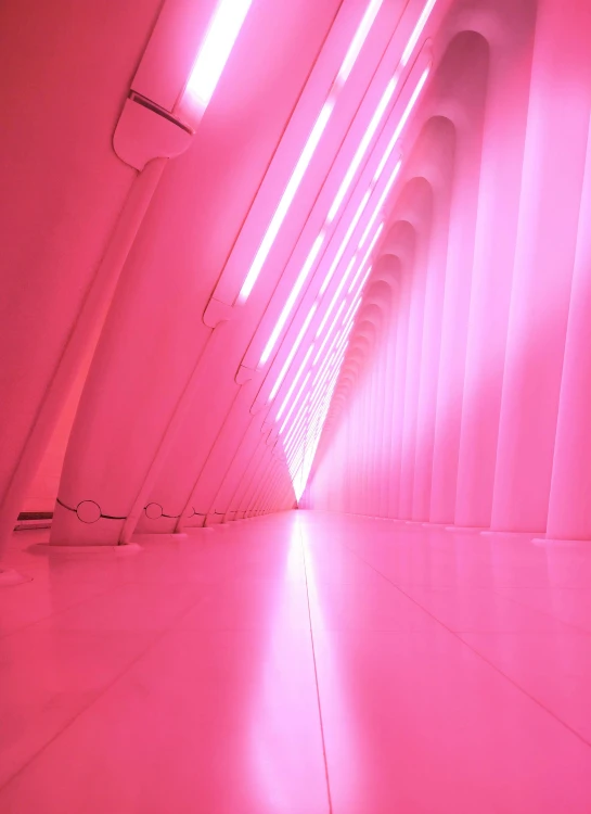 light enters the pink walls of a room