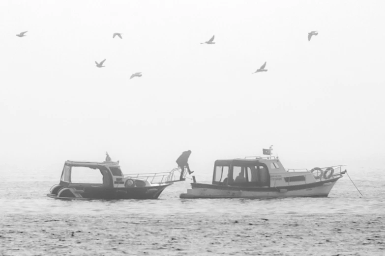 there are a few birds flying by the boat