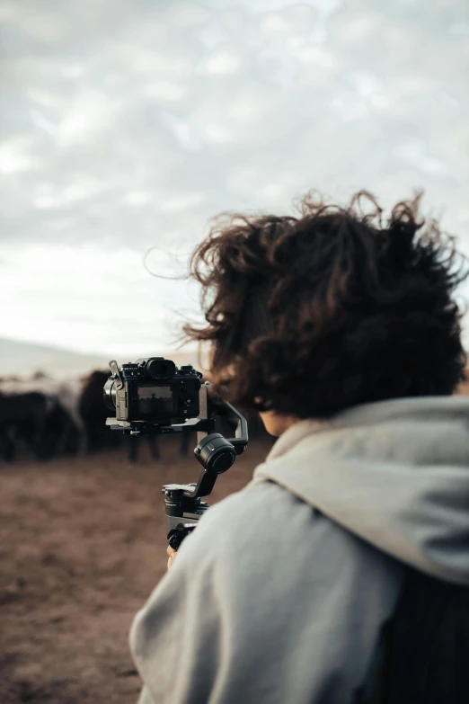 a woman taking pictures of some cows in the field