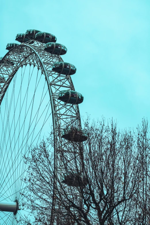 a large ferris wheel next to the top of some trees