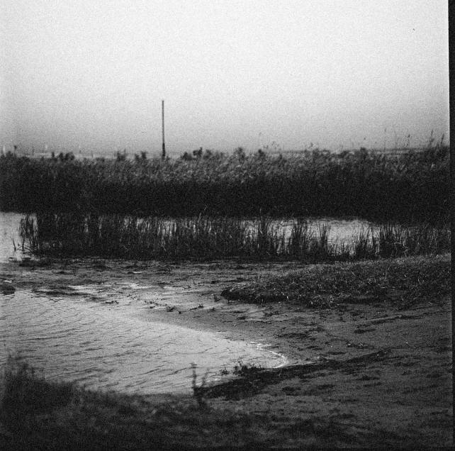 black and white pograph of rain falling off the top of a building