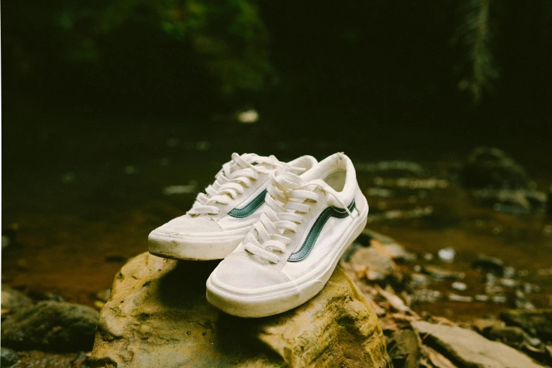 a white shoe on a rock with trees in the background