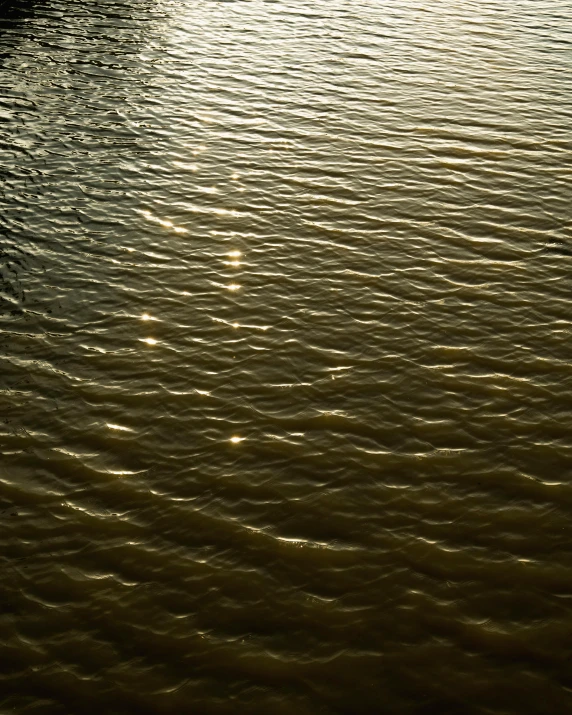 a small boat floating on the water near the shore