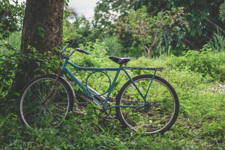 a bicycle parked up against a tree in the grass