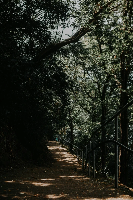 a view from the side on a dirt road