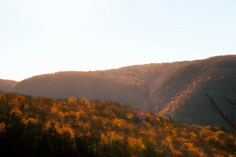 a view of mountains and a forest at sunset