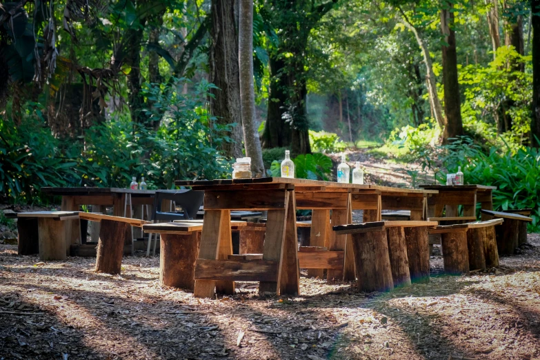 a group of picnic tables surrounded by trees